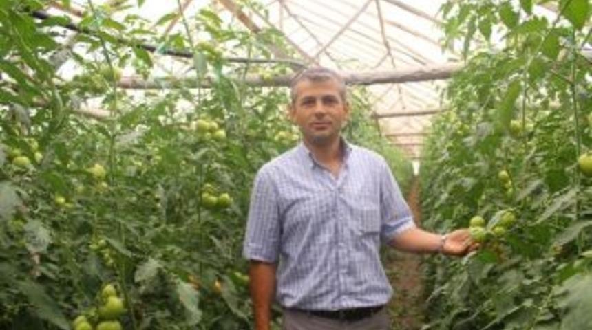 Organik Tarım Destekleme Başvuruları Başladı