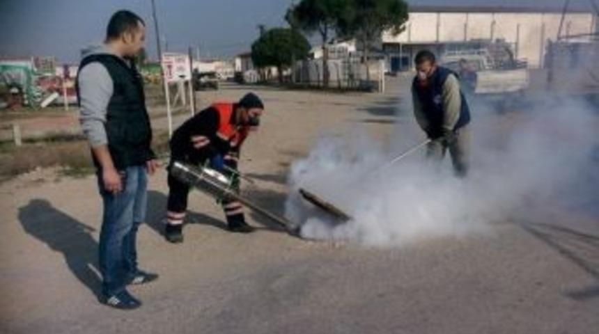 Burhaniye&rsquo;de Sivrisineğe Kış M&uuml;cadelesi