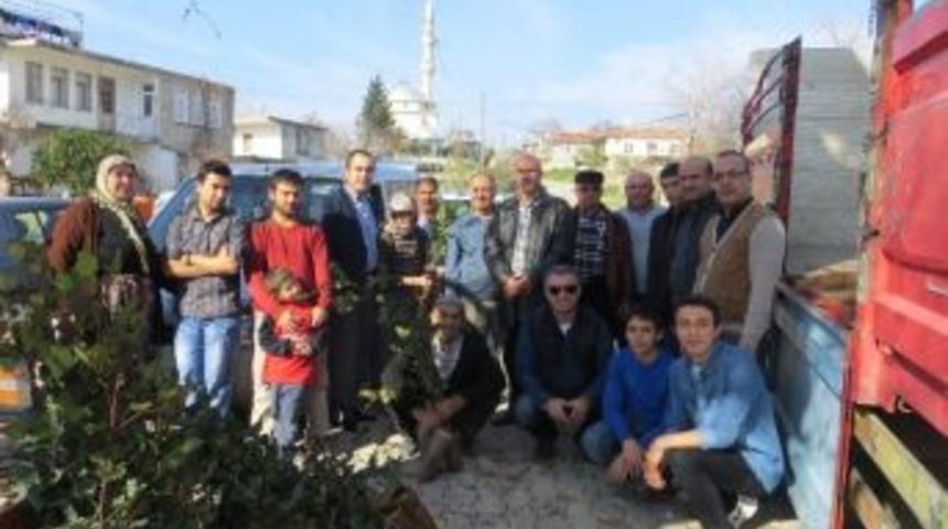 Masiad&rsquo;dan K&ouml;ylere Ke&ccedil;i Boynuzu Fidesi