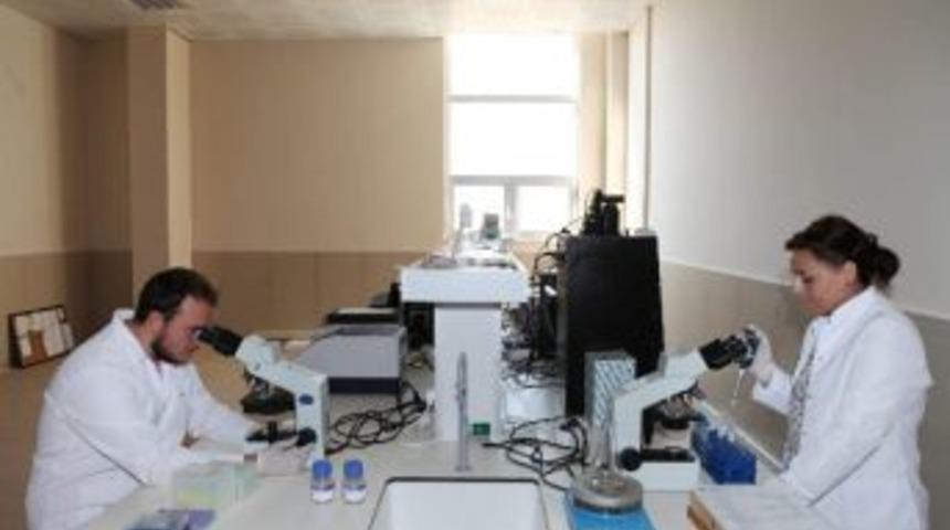 &Uuml;niversite Bilimsel &Ccedil;alışmalara Destekleri Artırdı