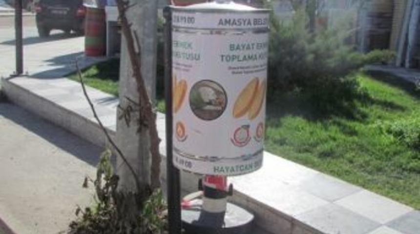 Amasya&rsquo;da &Ccedil;&ouml;pe Gitmeyen Bayat Ekmekler Hayat Verdi