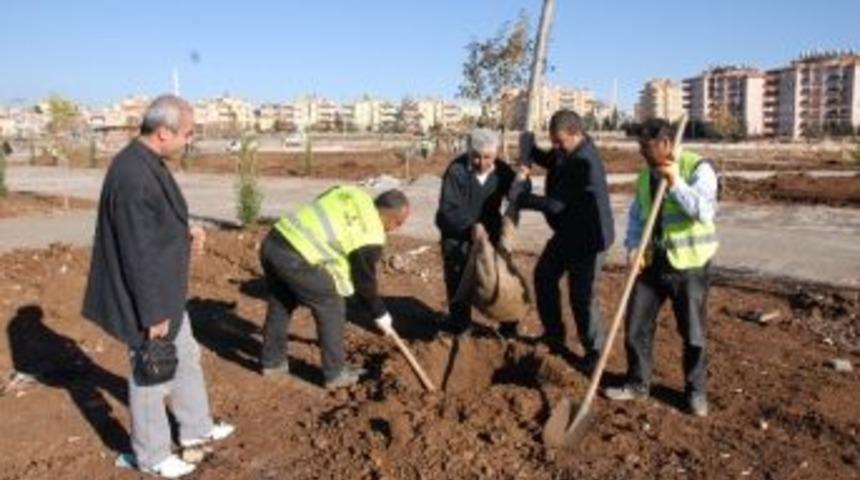 Eğri&ccedil;ayı Parkı&rsquo;na Fidan Dikimi Yapılıyor