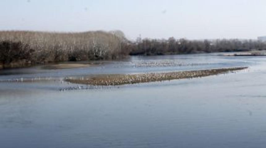 Meri&ccedil; Ve Tunca Nehirleri Alarm Veriyor