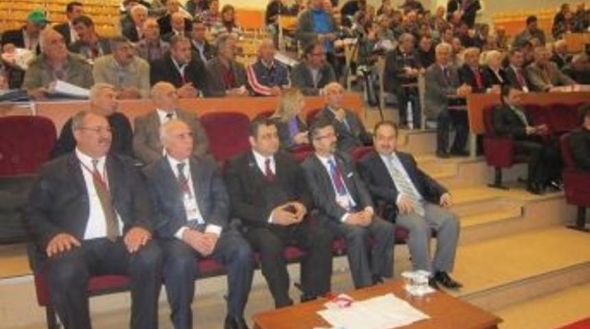 &Ccedil;anakkale&rsquo;de Domates &Ccedil;alıştayı D&uuml;zenlendi