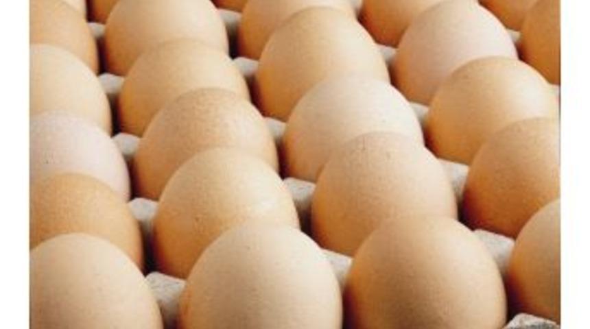 Yumurta Sekt&ouml;r&uuml; D&uuml;nya Liderliğine G&ouml;z Dikti