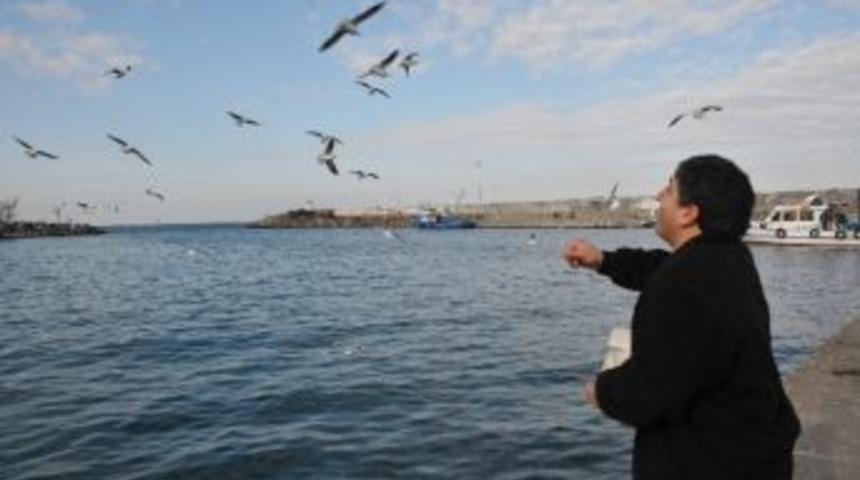 Vatandaşlar A&ccedil; Kalan Martılara Yem Attı
