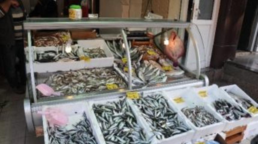 Balık Azaldı Fiyatlar Fırladı