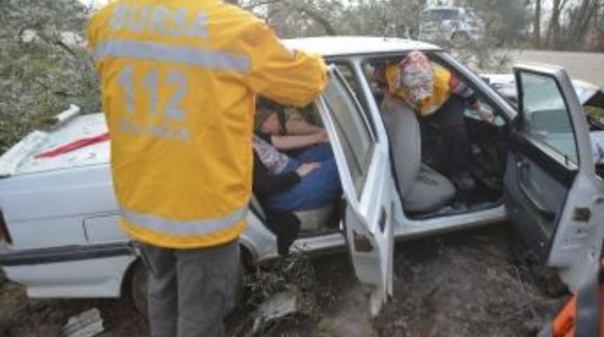 Otomobil Zeytinliğe Daldı: 2 Yaralı