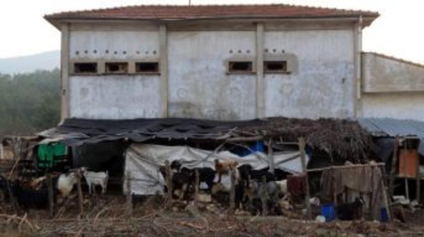 Bu Trafoda Yaşam Var