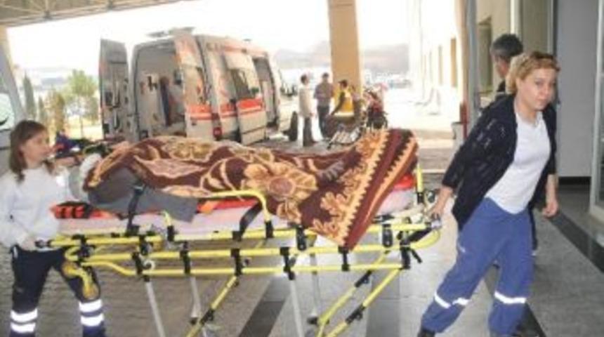 Yoldan Çıkan Araç Ağacı Devirdi: 3 Yaralı