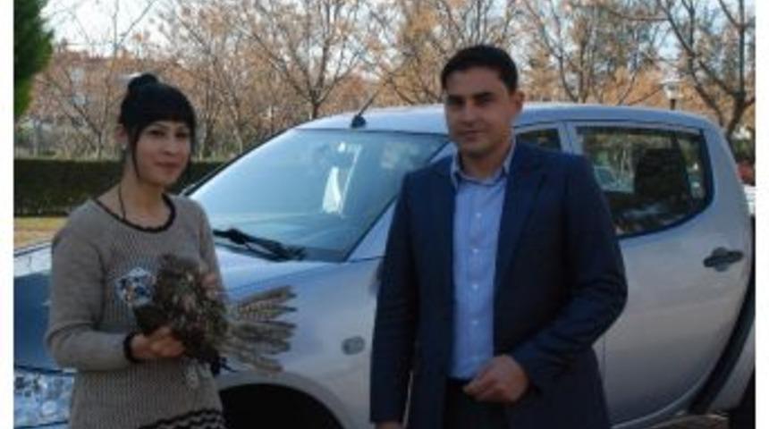 Yaralı Şahin Tedavisinin Ardından Doğaya Bırakıldı