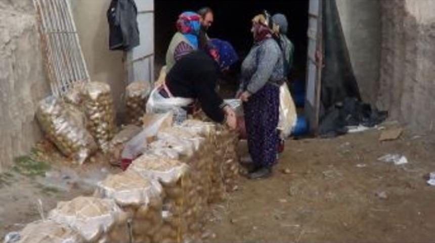 Sandıklı&rsquo;da Doğal Soğuk Hava Depoları Patates İle Dolu