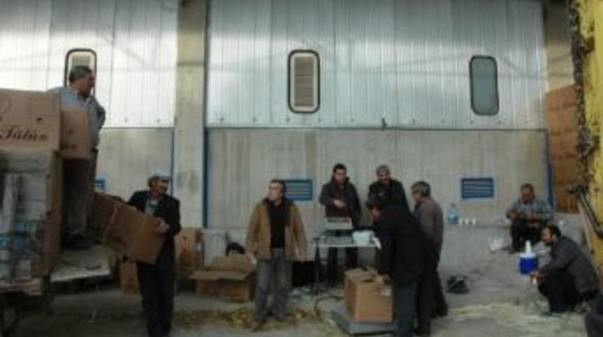 Selendi'de T&uuml;t&uuml;n Alımları Devam Ediyor