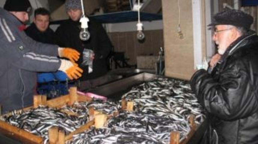 G&ouml;rele&rsquo;de Hamsi Fiyatı Tavan Yaptı