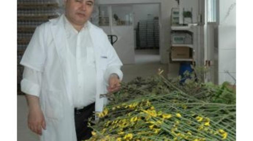 Tıbbi Tedavinin Yanında Bitkisel Tedavi &Ouml;nerisi