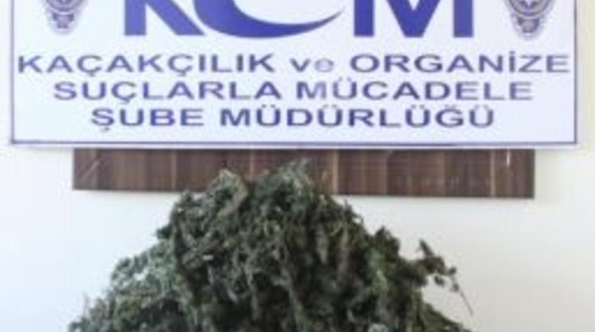 Kırklareli&rsquo;de Uyuşturucu Operasyonu