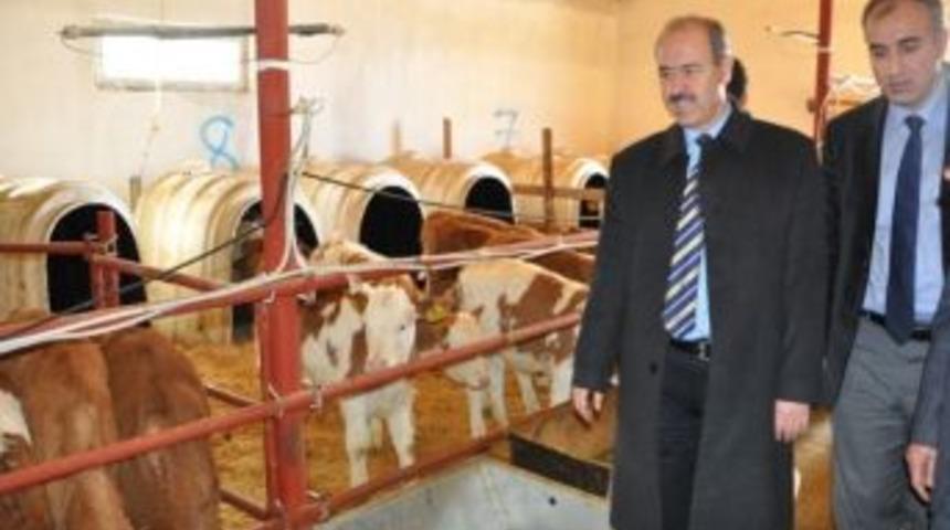 Vali B&uuml;y&uuml;kersoy&rsquo;dan İşletmelere Ziyaret