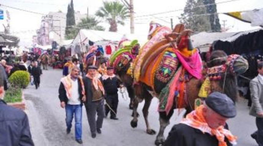 Yatağan Deve G&uuml;reşleri 19 Ocak&rsquo;ta Yapılacak