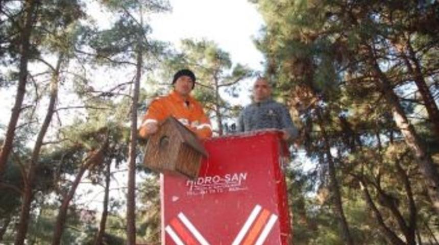 Belediyeden Kuşlara Ev