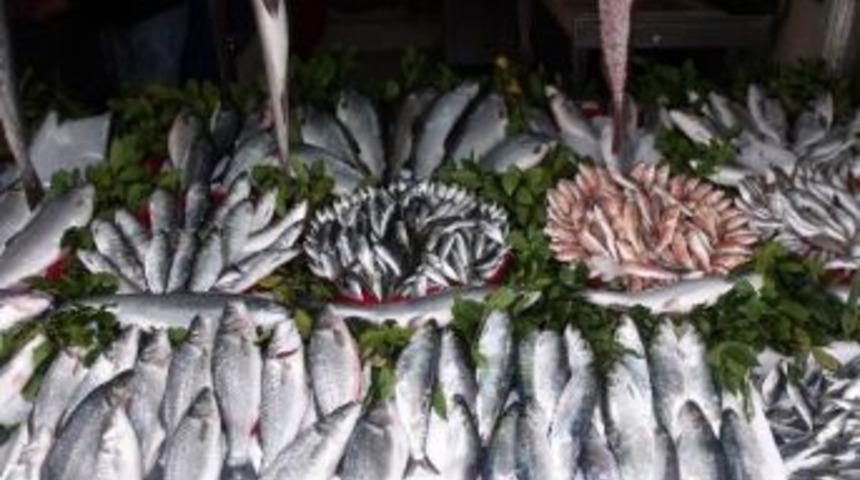 Balık Fiyatları Tavan Yaptı