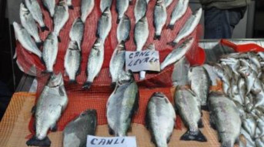 Karadeniz'de Balık T&uuml;kenince &Ccedil;are &Ccedil;iftlik Balığı Oldu