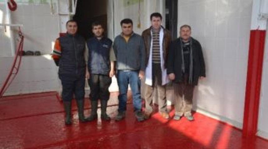 Boz&uuml;y&uuml;k Belediye Mezbahası Artık Daha Hijyen