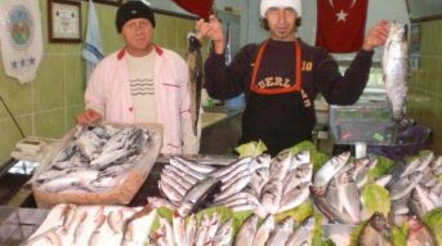 Balık Yok Satıyor