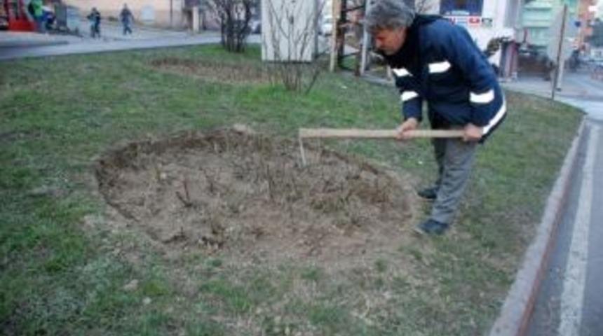 Başkan G&uuml;lşen, &ldquo;&ccedil;aycuma G&uuml;l Bah&ccedil;esi Olacak&rdquo;