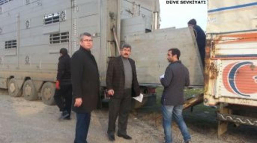 Kdsyb&rsquo;nden Yozgat&rsquo;a D&uuml;ve