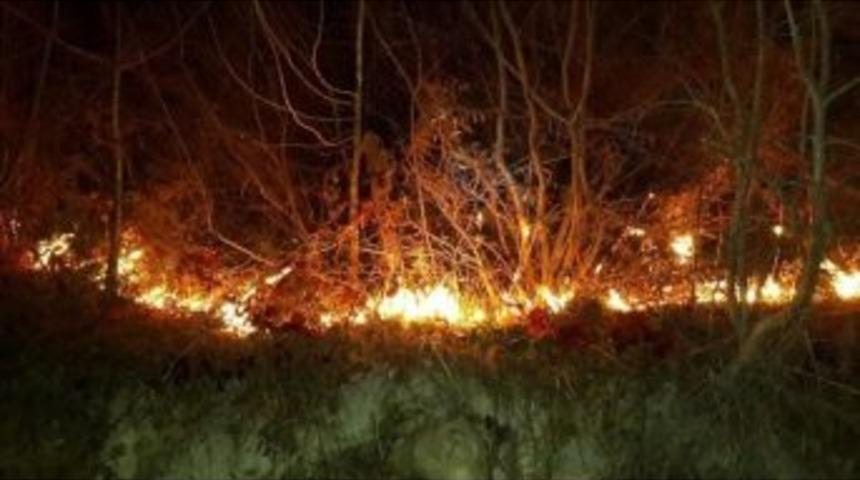 Fatsa&rsquo;da Orman Yangını