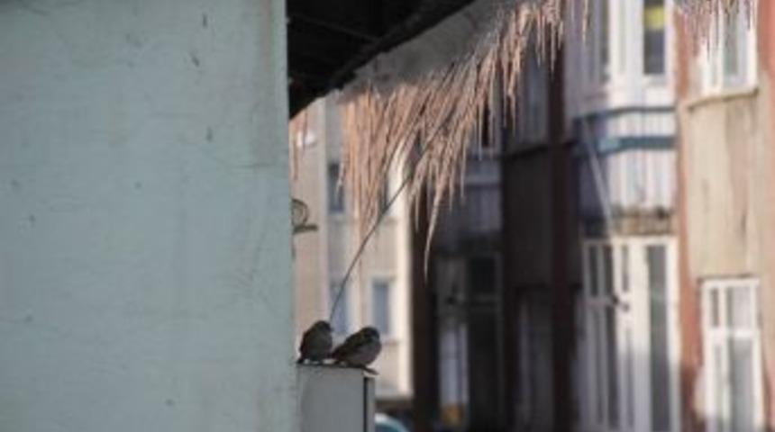 Doğu&rsquo;da Soğuk Hava Etkisini S&uuml;rd&uuml;r&uuml;yor