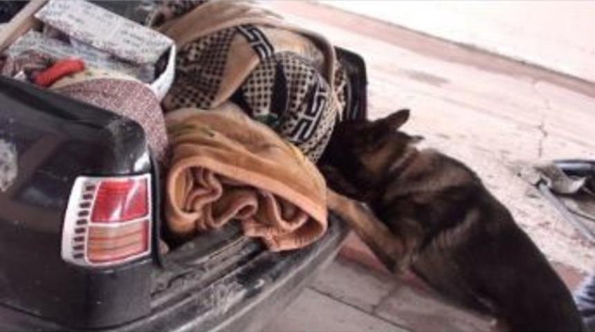 &Ouml;nc&uuml;pınar&rsquo;da El Bombası Ve Silah Ele Ge&ccedil;irildi