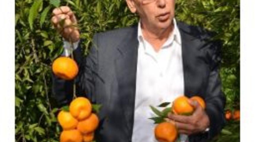 Başkan &Ccedil;&ouml;mez: Festival Amacına Ulaştı