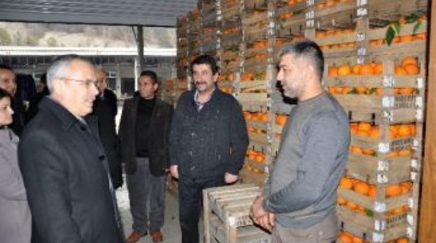 Ceylan Hal Esnafını Ziyaret Etti