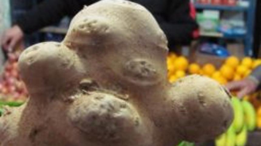 İnsan Ve Hayvan Şekillerine Benzeyen Patatesler Şaşırttı