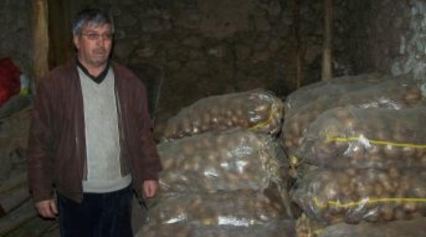 Patates &Uuml;reticisi Dertli