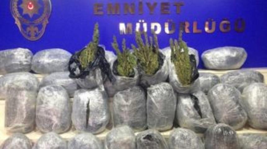 Mısır Y&uuml;kl&uuml; Tır'dan 673 Kilo Esrar &Ccedil;ıktı