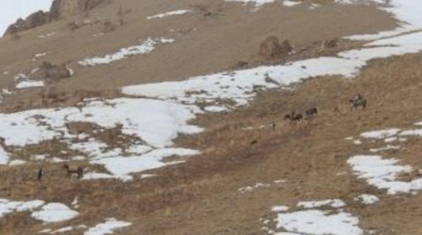 Kayadan Düşen Çoban Yaşamını Yitirdi