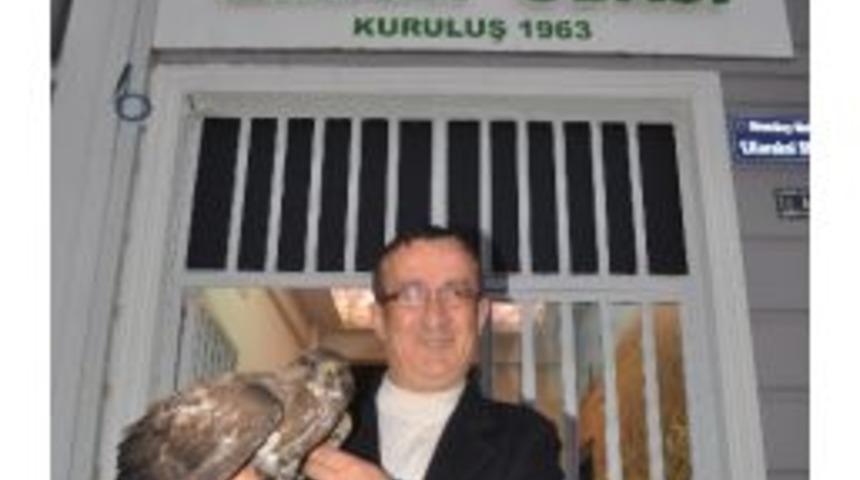 Yaralı Yavru Şahine Ziraat Odası Sahip &Ccedil;ıktı