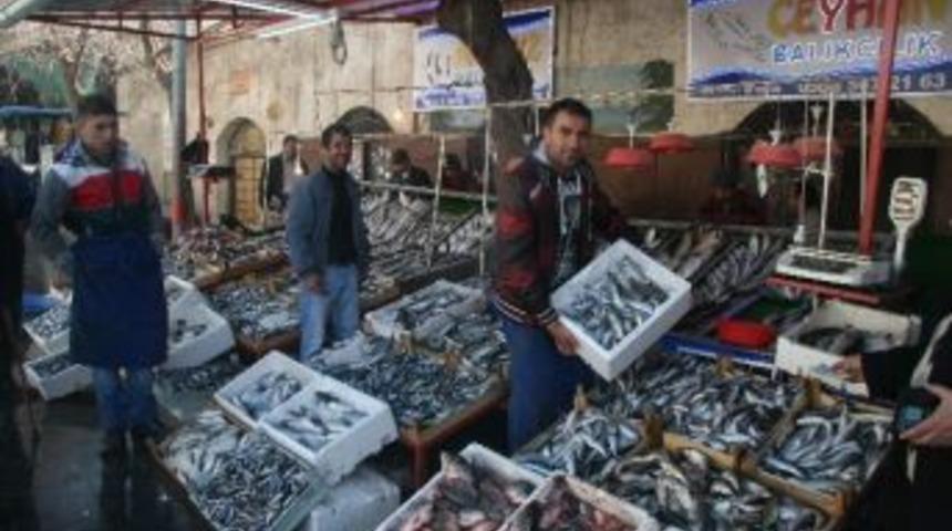 Balık Fiyatları Arttı, Esnaf Şikayetçi