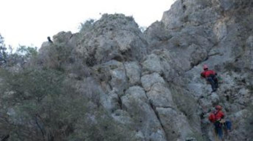 Kaya Mezarda Mahsur Kalan Ke&ccedil;iyi Akut Kurtardı