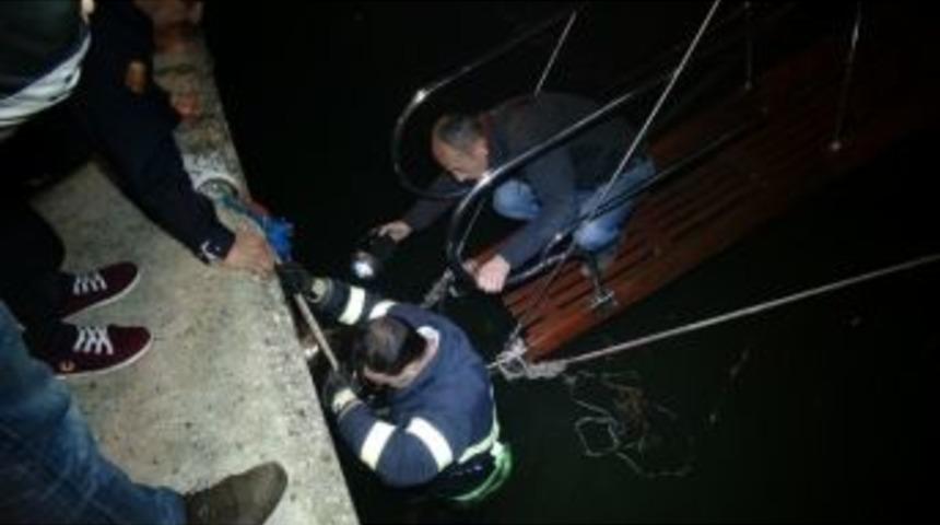 İtfaiyeden Yavru Kedi Kurtarma Operasyonu