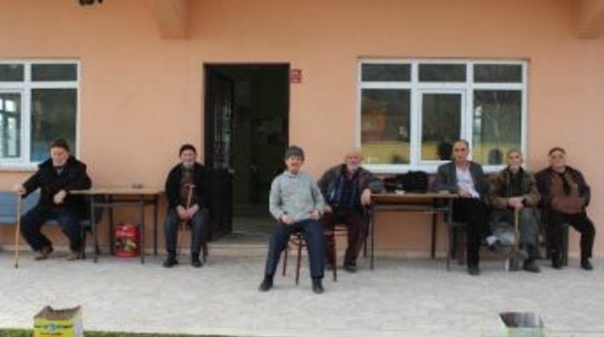 Sakarya'da Orman Yangını