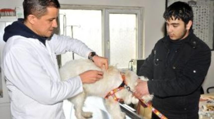 Mamak&rsquo;ta Kuduza Karşı Aşı Kampanyası