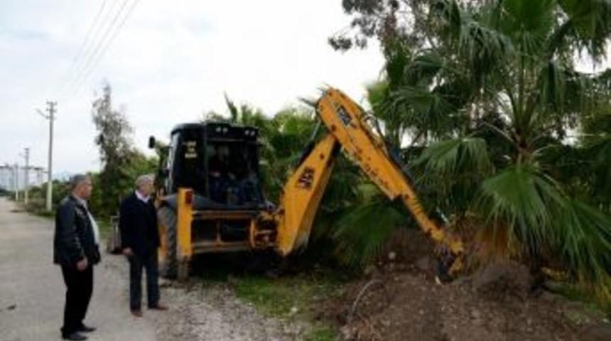 Hasyurt Belediyesi Camiye Palmiye Hediye Etti