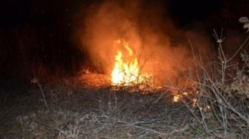 Bafra&rsquo;da Orman Yangını