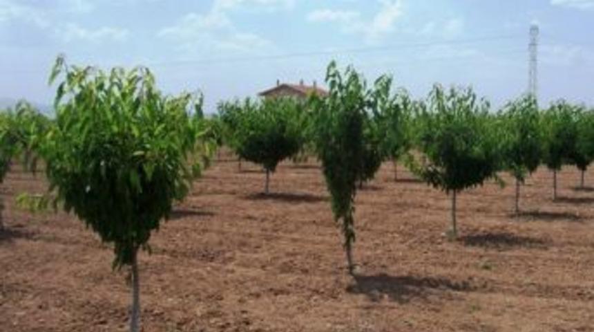 Bing&ouml;l, Elazığ Ve Muş İlini Kapsayacak 77 Milyon Liralık Kırsal Kalkınma Projesi Hayata Ge&ccedil;iyor