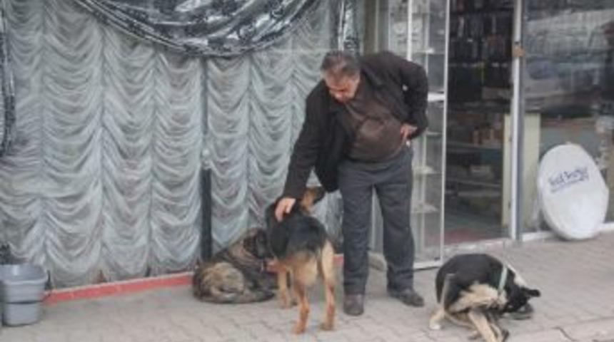 &Ouml;mr&uuml;n&uuml; Sokak K&ouml;peklerine Adadı