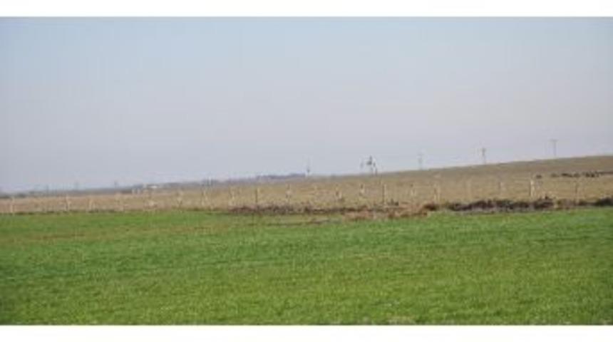 Nusaybin&rsquo;de Asker Sınır G&uuml;venliklerini Artırdı