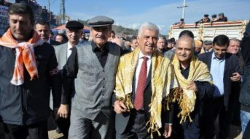 Yatağan Deve G&uuml;reşlerini 20 Bin Kişi İzledi